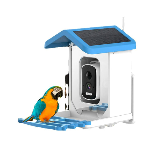 BrightPerch solar smart bird feeder with AI camera and blue roof, with a parrot on the perch