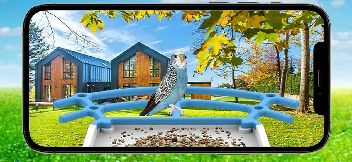 Example of the live camera view of a bird on the feeder perch, shown on a phone