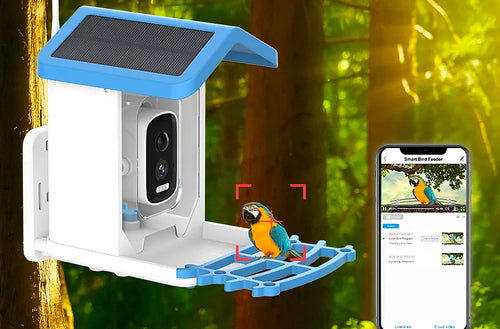 BrightPerch smart bird feeder mounted on a tree beside a phone showing the companion app